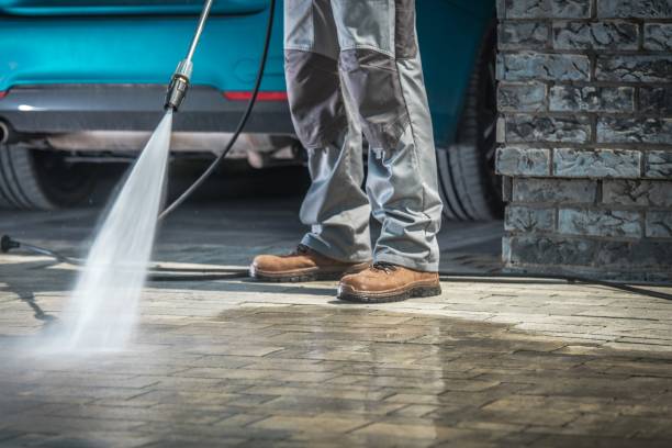 Best Sign and Awning Cleaning  in Tiptonville, TN