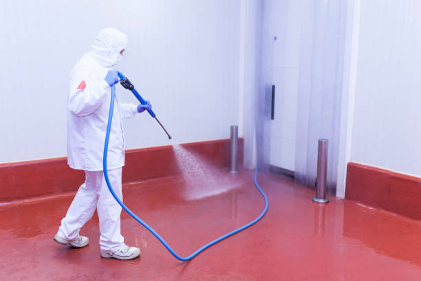 Best Parking Lot and Garage Cleaning  in Tiptonville, TN
