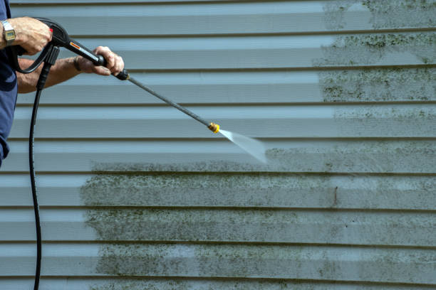 Best Driveway Pressure Washing  in Tiptonville, TN